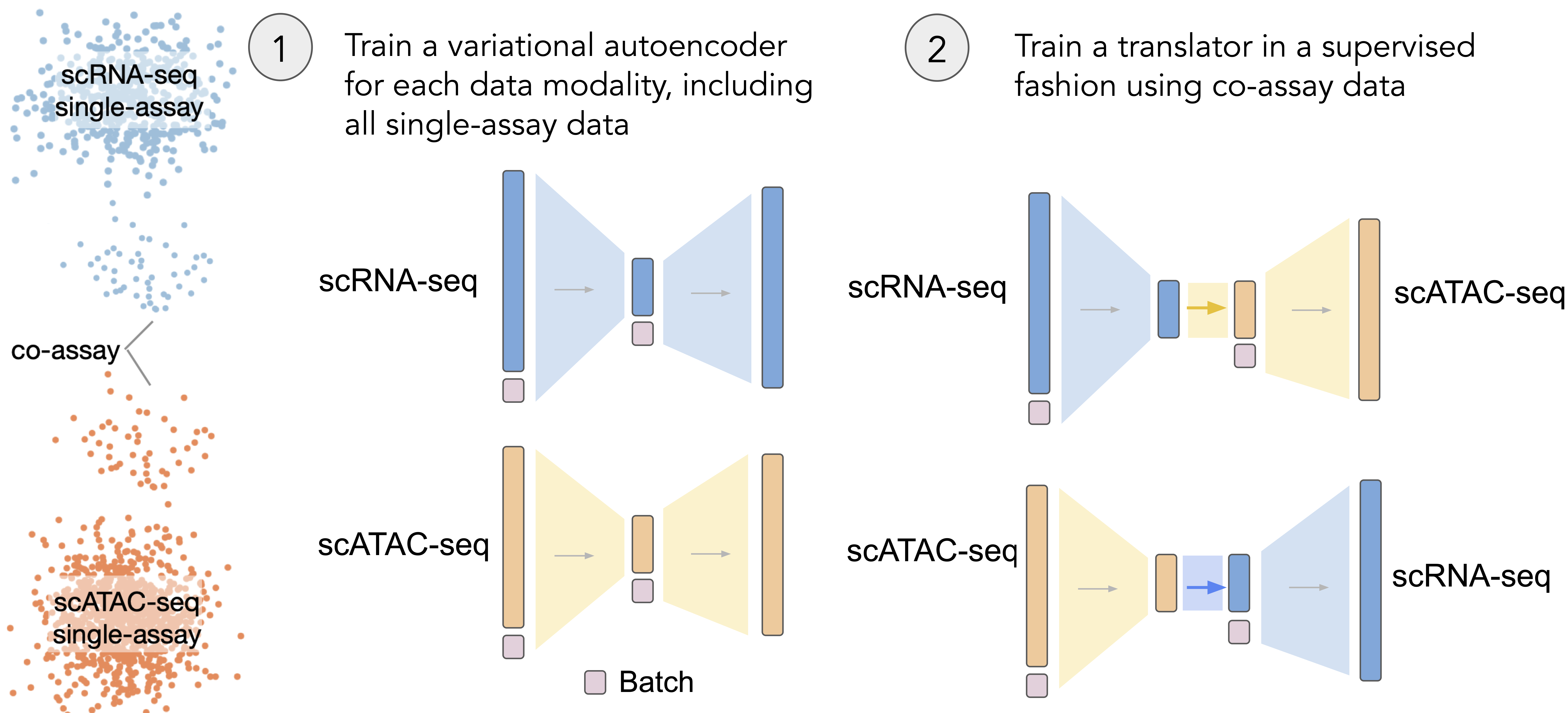 Semi-supervised single-cell cross-modality translation model